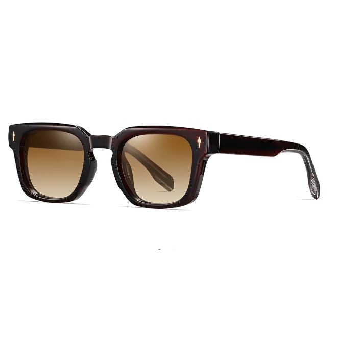 Retro  Men's Polarized Sunglasses Square Frame brown
