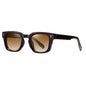 Retro  Men's Polarized Sunglasses Square Frame brown